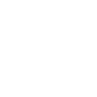 Evet Med Logo